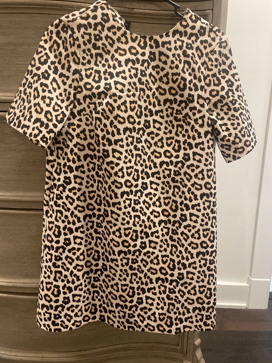 H&M Dresses & Skirts - NWOT cheetah mini dress